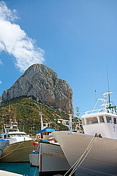 rong bach kim 2 nhay