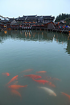xs thu tu hang tuan
