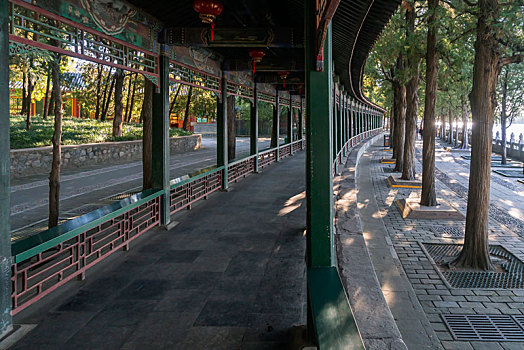 số xo