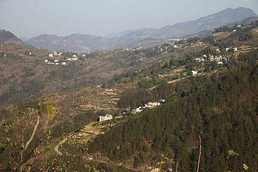 cách chơi lô 3 càng
