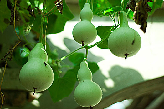 kết quả xsmb ngày hôm nay
