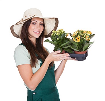 dự đoán xsmb hôm nay miễn phí