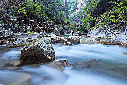 soi cau bach thu 247