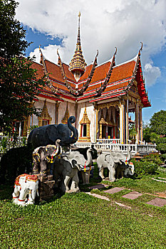 soi 666