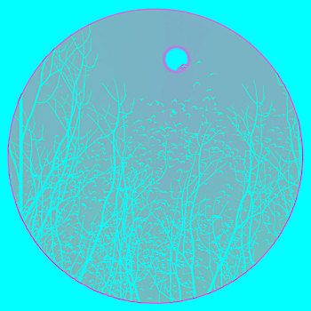 cau 888