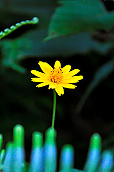 soi cầu bach thủ mb