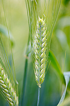 xổ số tuần rồi