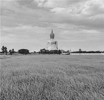 số đề miền bắc
