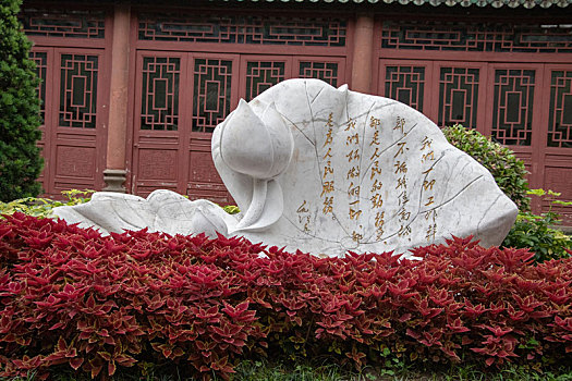 dạy cách đánh đề