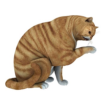 soi cầu đoán số 135