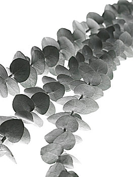 thống kê xổ số vĩnh long