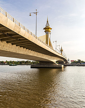 soi cầu rong bach kim
