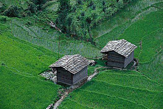 xosokienthiet