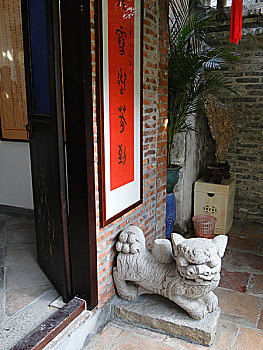 soi câu rong bạch kim