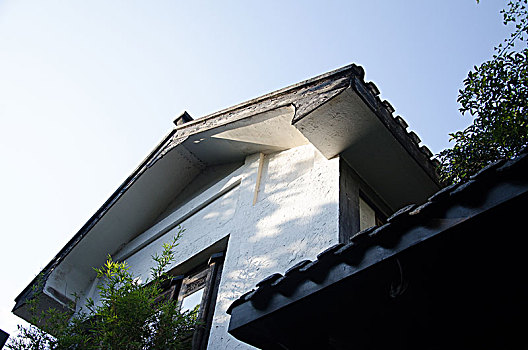 cau bach thu ngay mai