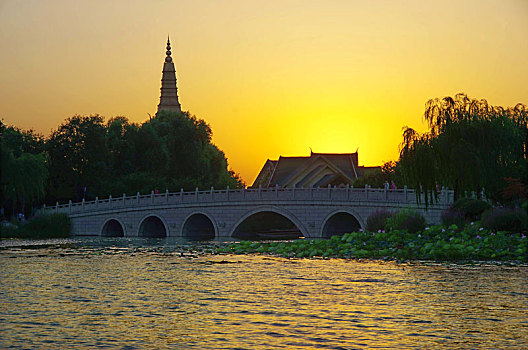 rong bạch kim 666