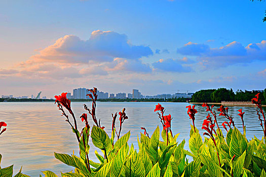 xo so tien giang hom nay