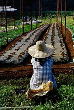 du đoán xổ số miền nam