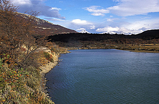 soi cau bach thu lo de