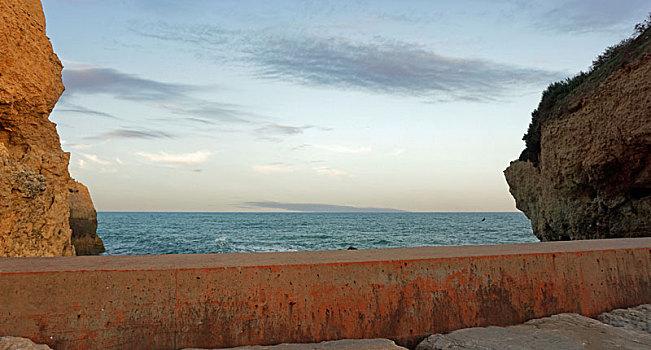 soi cau 2 nhay rong bach kim