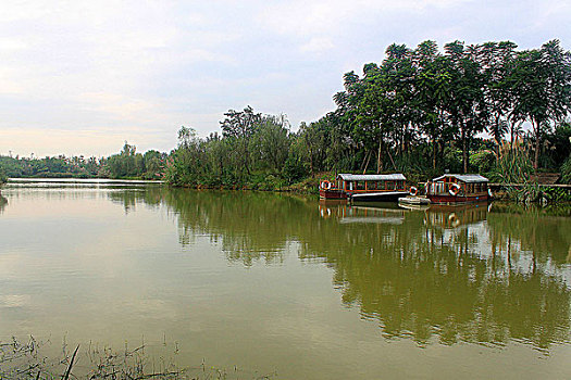 soi bach thu xsmb