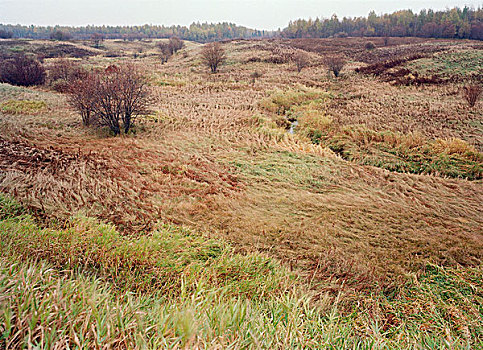 xsbthuan