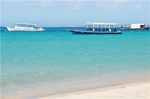 dự đoán kết quả