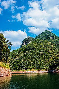 soi cau xo so dong nai