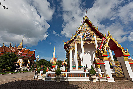 soi cau bach thu sieu chuan