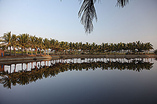 dự đoán 3 càng hôm nay