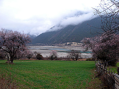 du doan bach thu lo