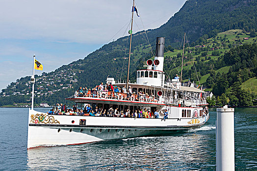 cau pascale