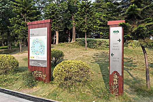 soi cau phat loc
