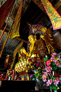 xo so minh ngoc new