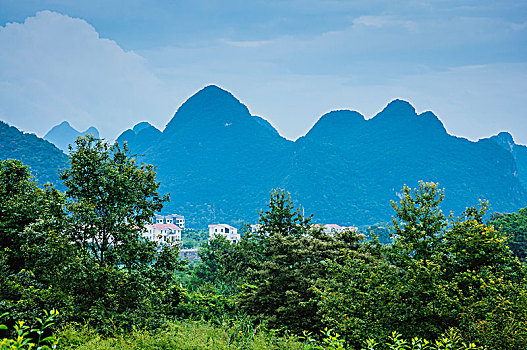 soi cau 466