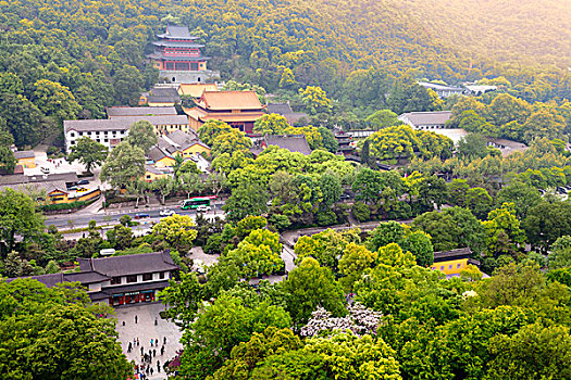 soi cau rong bach kim 247