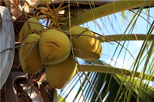 xổ số khánh hòa hàng tuần
