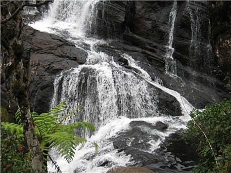 bachthu lode mienbac