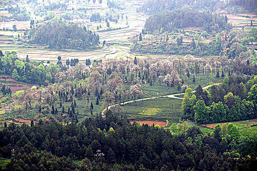 dàn đề miễn phí