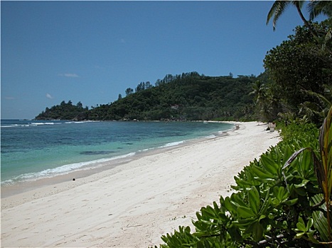 bach thu lo khung 2 ngay