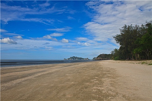 soi cau bach thu lo hom nay