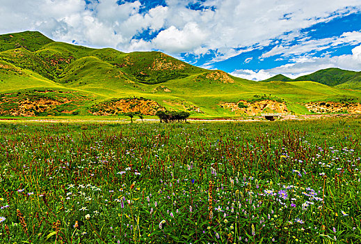 kqxs quang nam