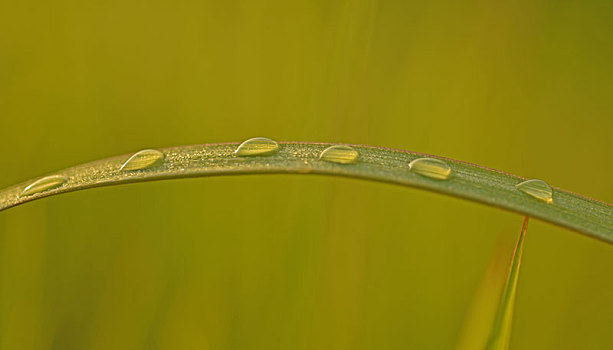 soi cầu 7777