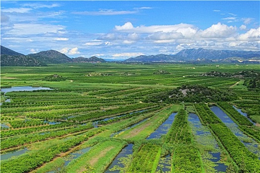 xổ số minh ngọc thứ 5