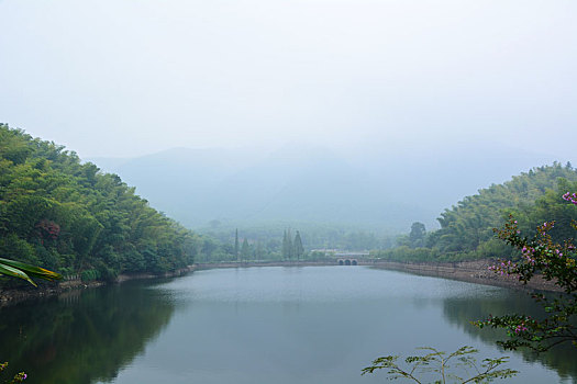 du doan rong bach kim
