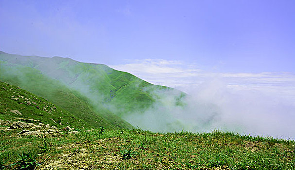 dự đoán miền nam đài phát