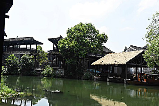 bạch thủ lô hôm nay là con gì
