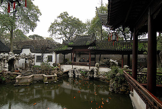 soi cau tp 568