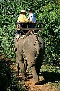 tỉ lệ ăn lô trượt