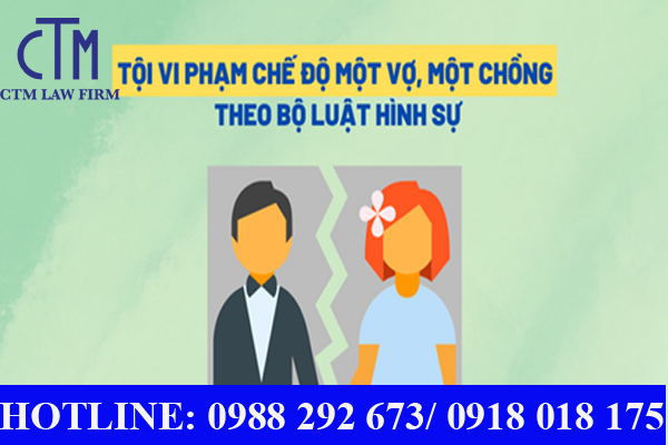 toi-vi-pham-che-do-mot-vo-mot-chong